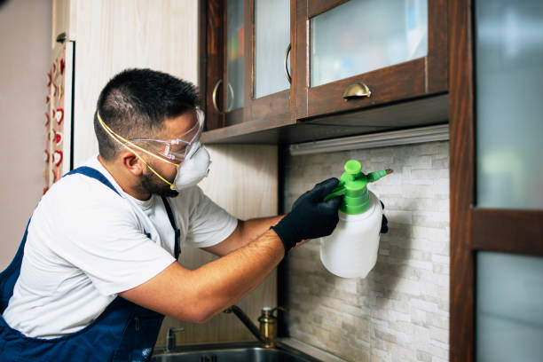 Best Flea Control Services  in Fiskdale, MA