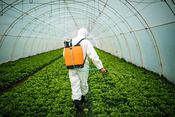Best Best Pest Control Companies  in Fiskdale, MA