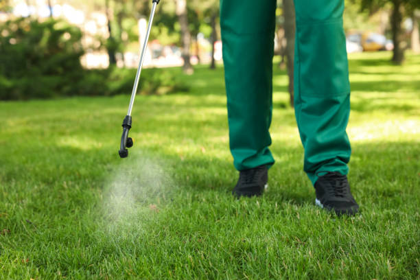 Best Pest Control Near Me  in Fiskdale, MA