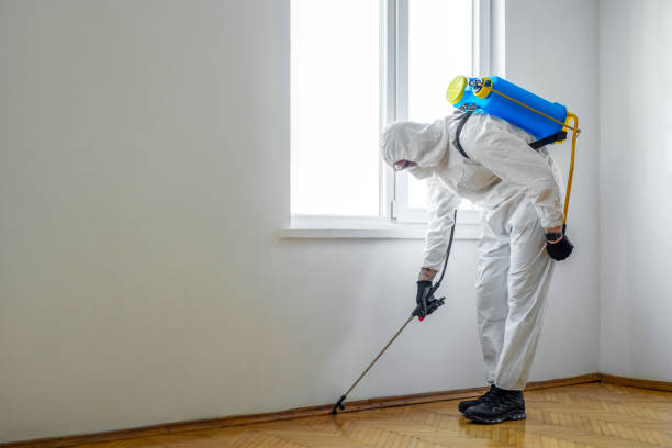 Best Pest Prevention Services  in Fiskdale, MA