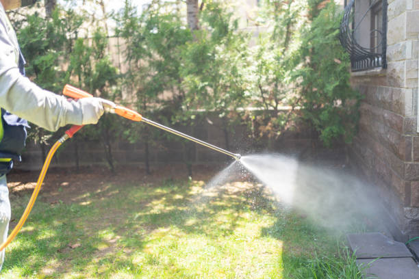 Best Bird Control  in Fiskdale, MA