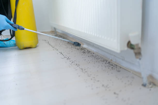 Best Residential Pest Control  in Fiskdale, MA