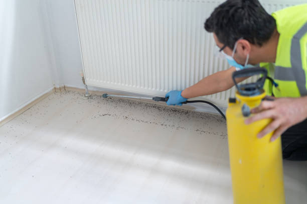Best Best Pest Control Companies  in Fiskdale, MA