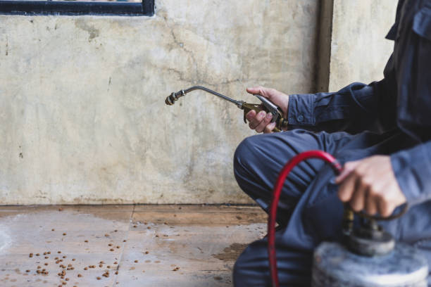 Best Pest Removal Services  in Fiskdale, MA